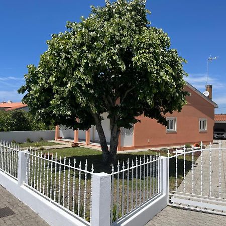 Moradia Alegre No Centro Da Vila Da Tocha. Dış mekan fotoğraf