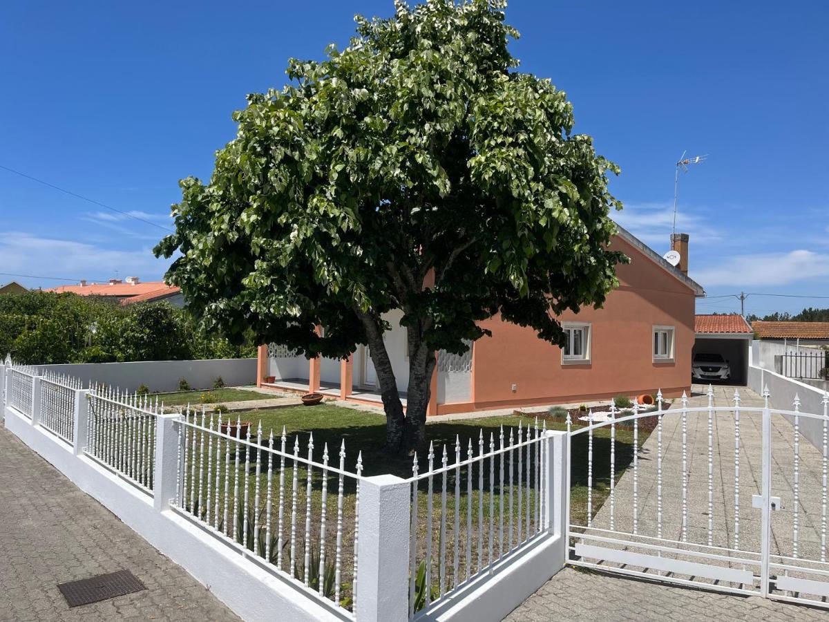 Moradia Alegre No Centro Da Vila Da Tocha. Dış mekan fotoğraf